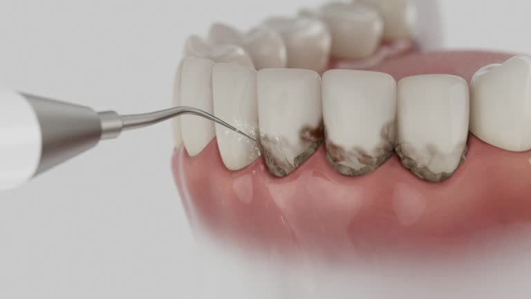 Reliable Dental contractor in Austin, AR by Dentist Open Now